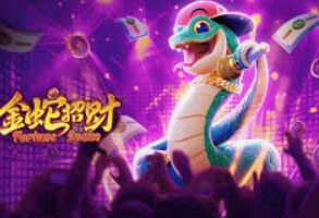 BBIN视讯官网2024最新版