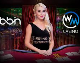 BBIN视讯官网2024最新版